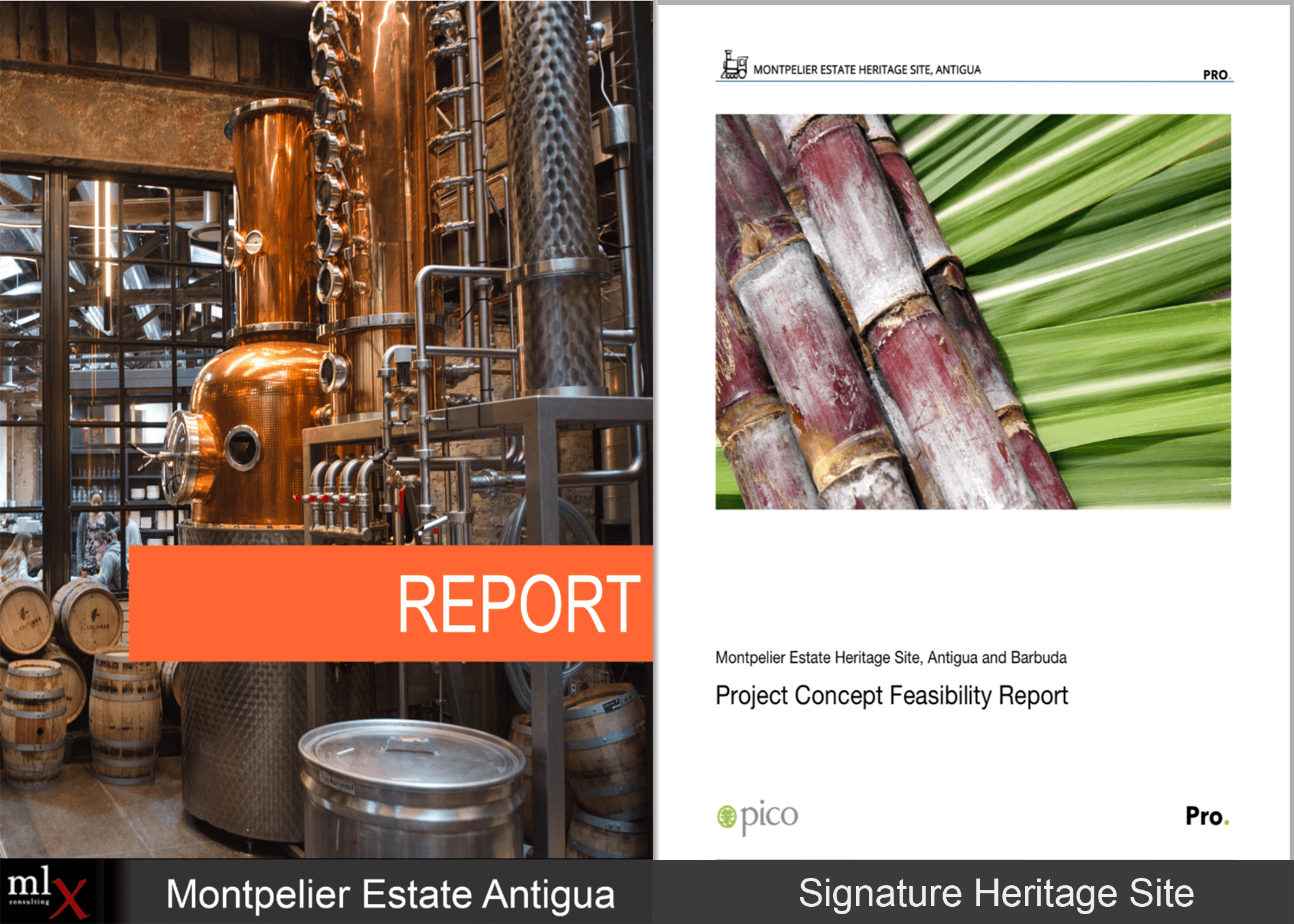 Montpelier Estate Feasibility Report