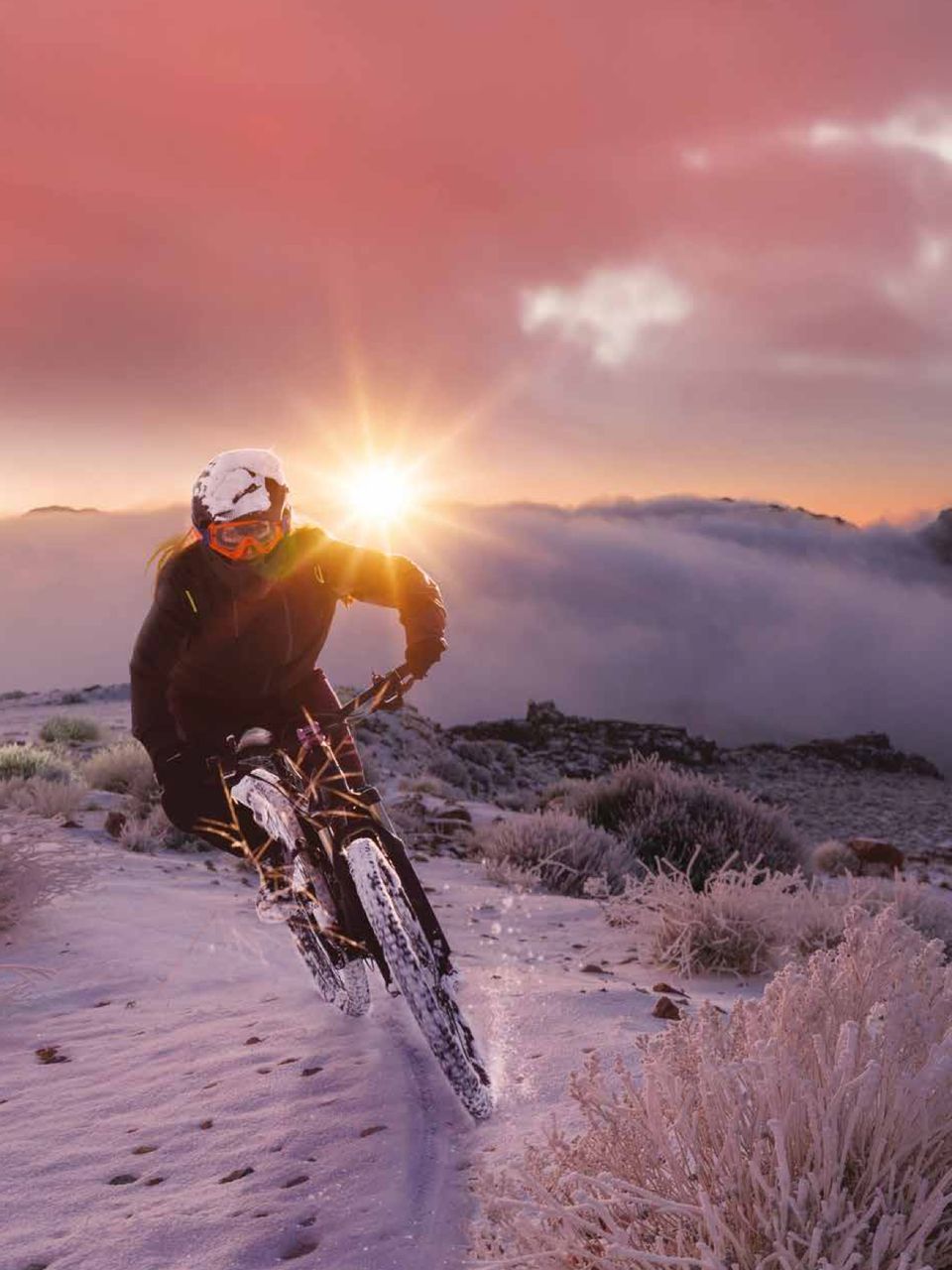 Mountain biking at Trojena